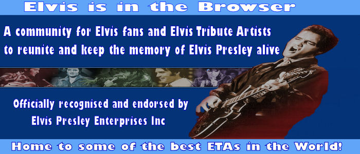 WWW.ELVISISINTHEBROWSER.CO.UK