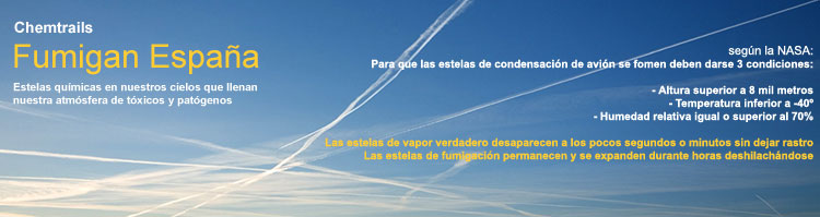foro-c10.jpg