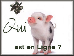Qui est en ligne ?