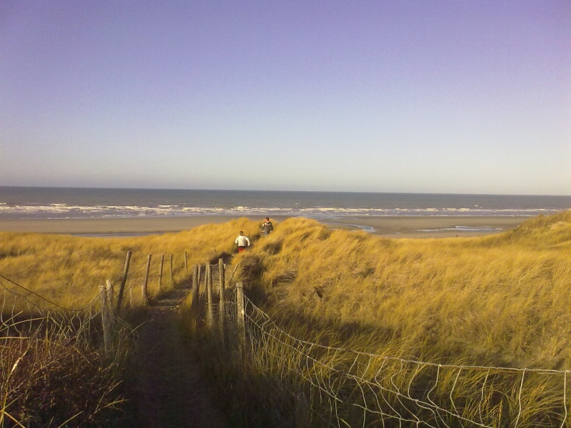 09012010.jpg