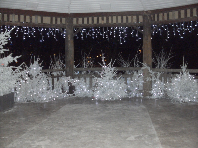 pict0215.jpg