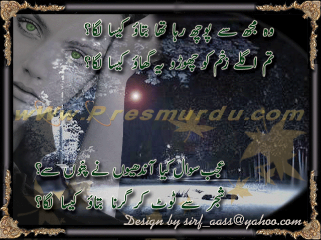 Woh Muj Se Poch Raha Tha - Urdu Poetry By Mohsin Naqvi