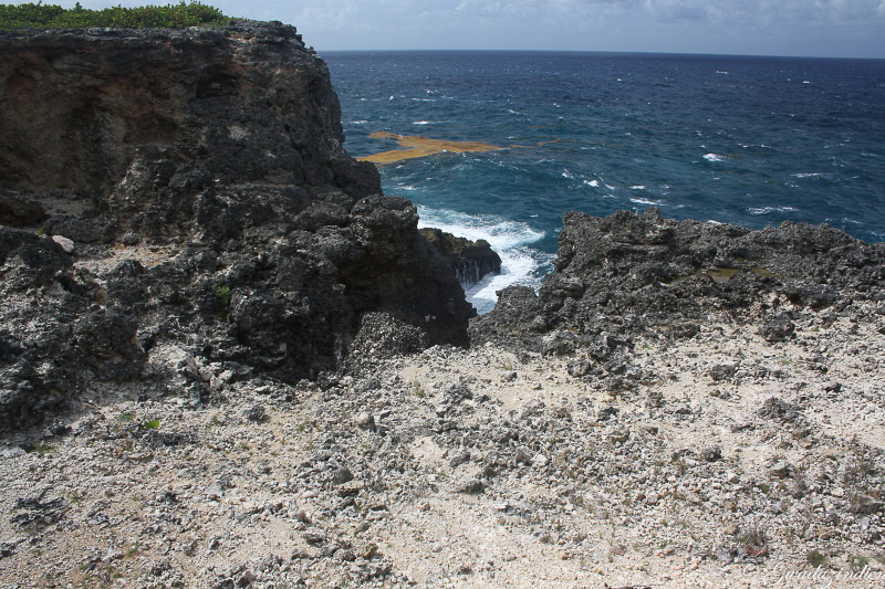 img_0010.jpg