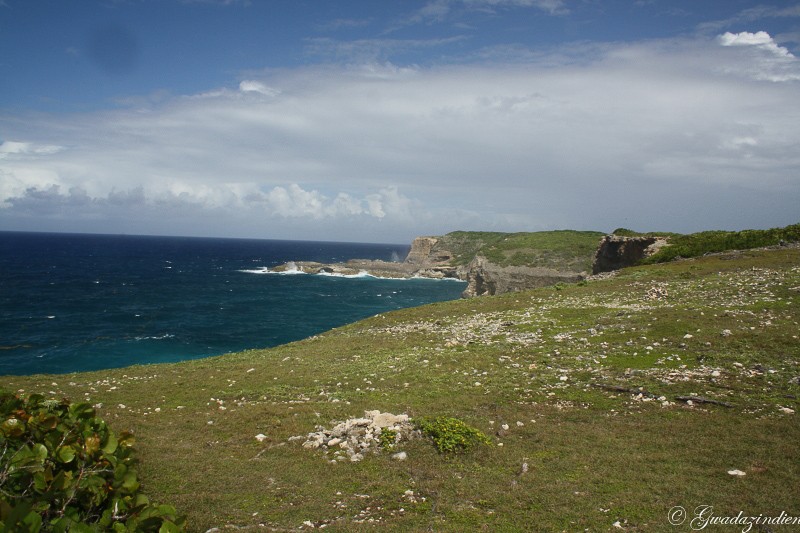 img_0015.jpg