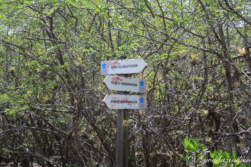 img_1227.jpg
