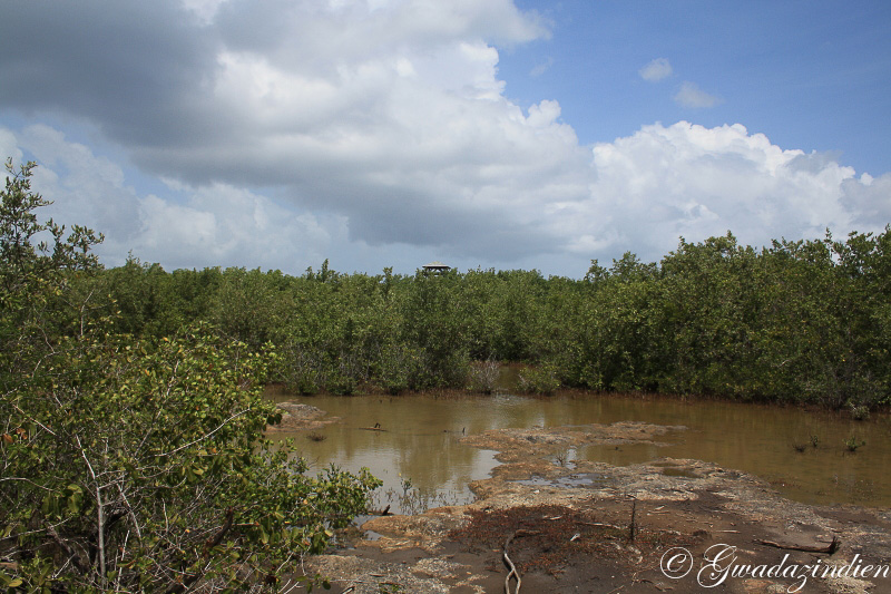 img_1229.jpg