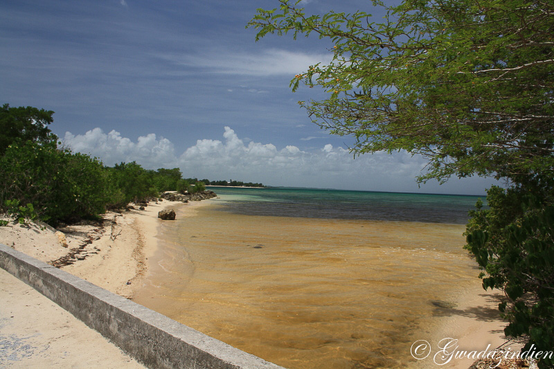 img_1311.jpg