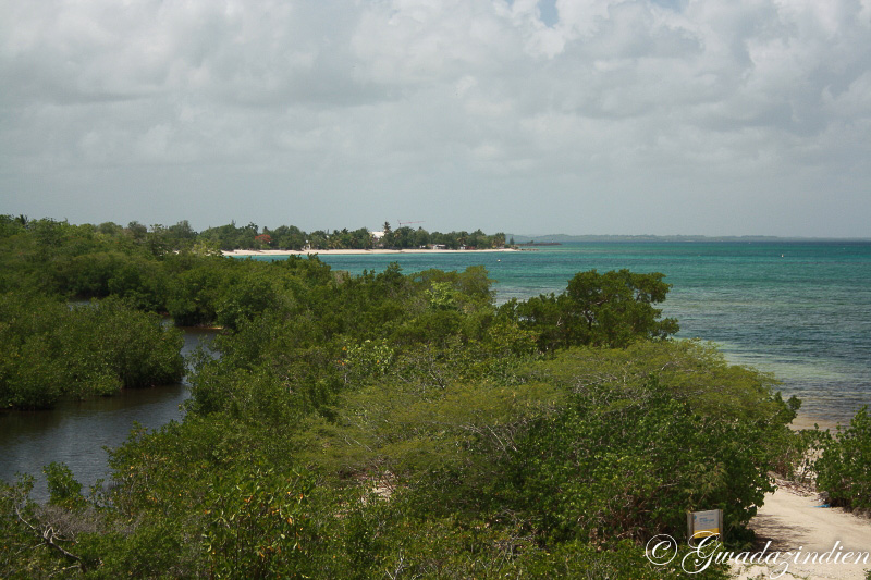 img_1312.jpg