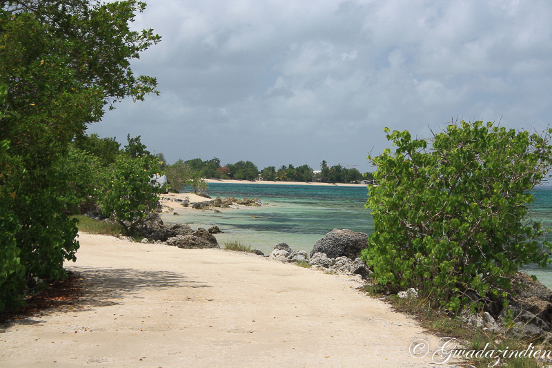 img_1314.jpg