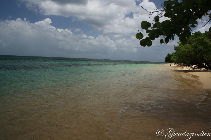 img_1316.jpg