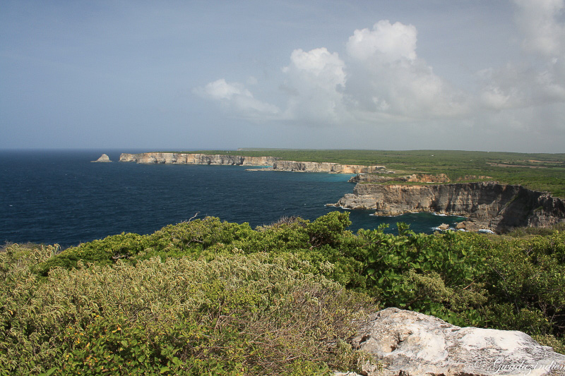 img_1323.jpg