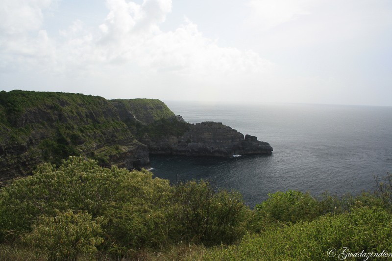 img_1324.jpg