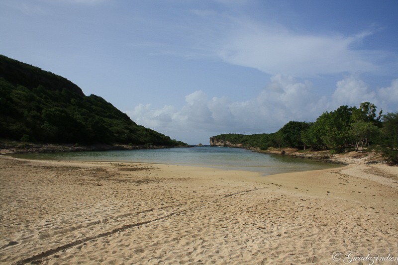 img_1415.jpg