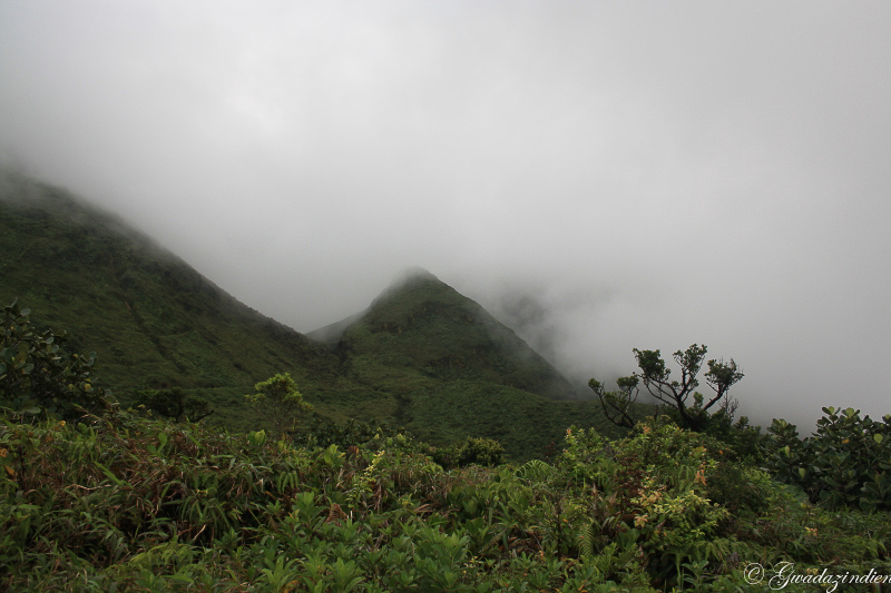img_1615.jpg