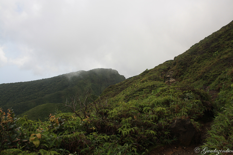 img_1623.jpg
