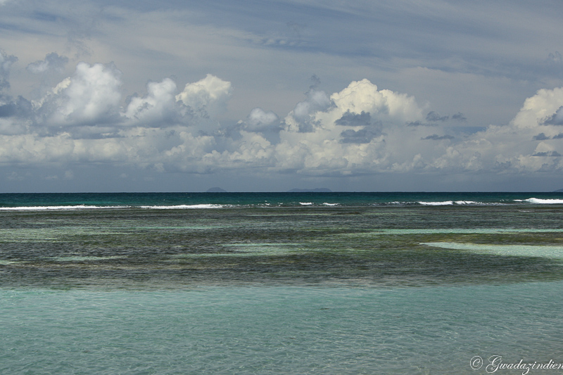 img_1724.jpg