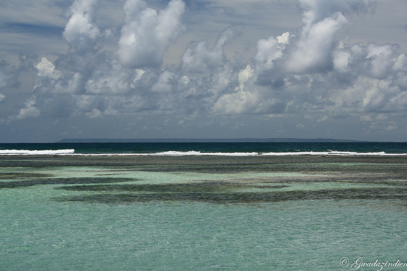 img_1725.jpg