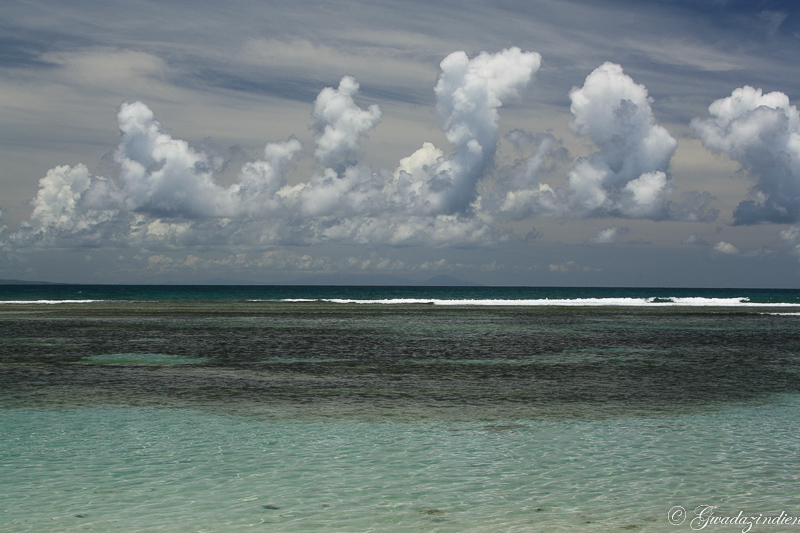 img_1726.jpg