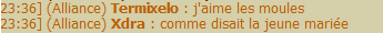 comme_10.png