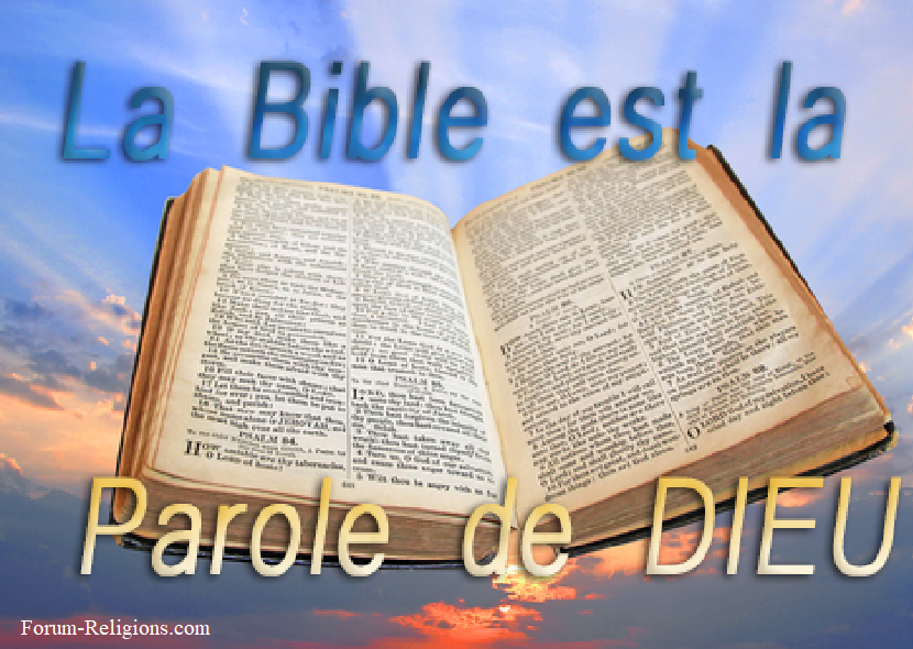 bible_10.png